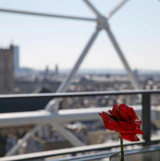 Views of Paris