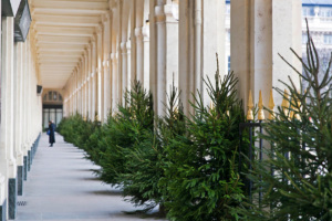 Palais Royal Paris