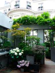 Patio apartment Paris Grands Boulevards