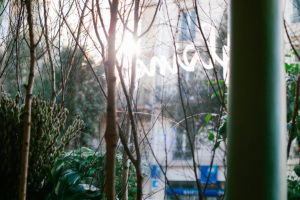 Flowers florist paris 75003