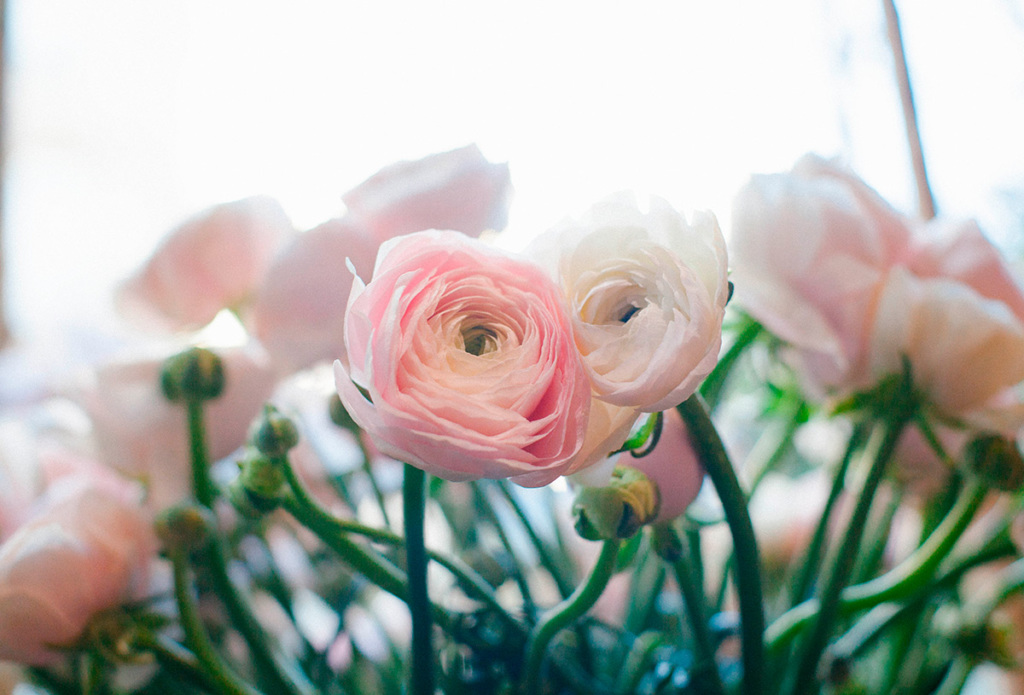 Top parisian florist