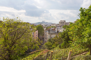 quartier buttes chaumont Bergeyre