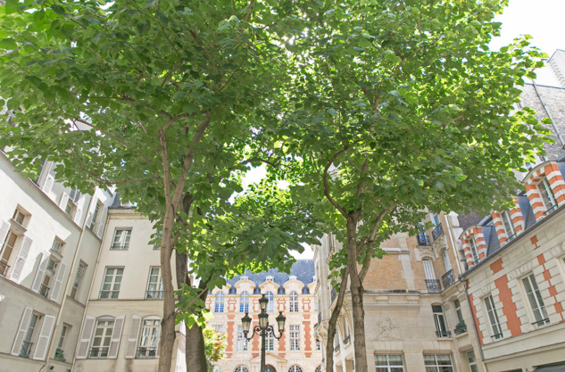 Rue de Furstenberg Paris