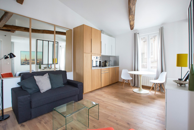 living Paris apartment rue Dauphine Paris