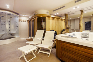 house rental Paris sauna steam room