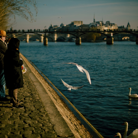 season Paris light