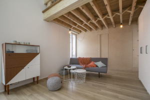 renovation apartment parisian rental