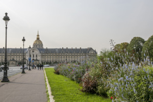 Invalides green spaces