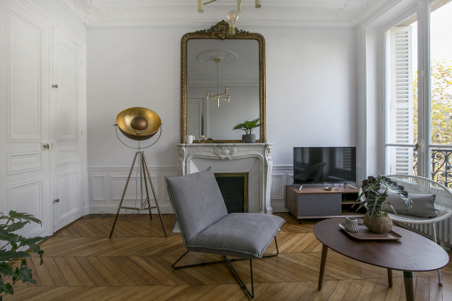 living-room paris apartment