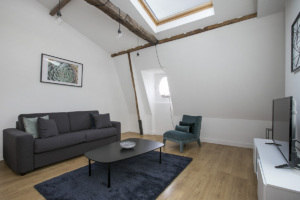 living room with double sofa bed apartment for rent in Paris