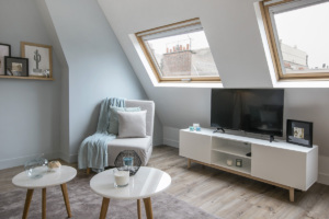 renovated and furnished apartment Paris