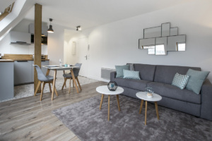 studio for rent Paris double sofa bed