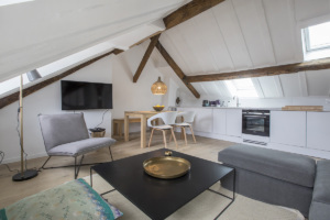 one-bedroom furnished apartment coffee table Paris