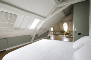 Saint-Michel/Notre-Dame neighbourhood furnished apartment under the eaves with timber