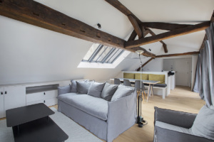 timber framework living Paris apartment