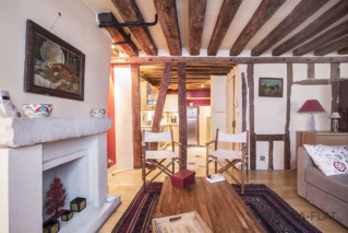 appartement avec cheminée style médiéval Paris
