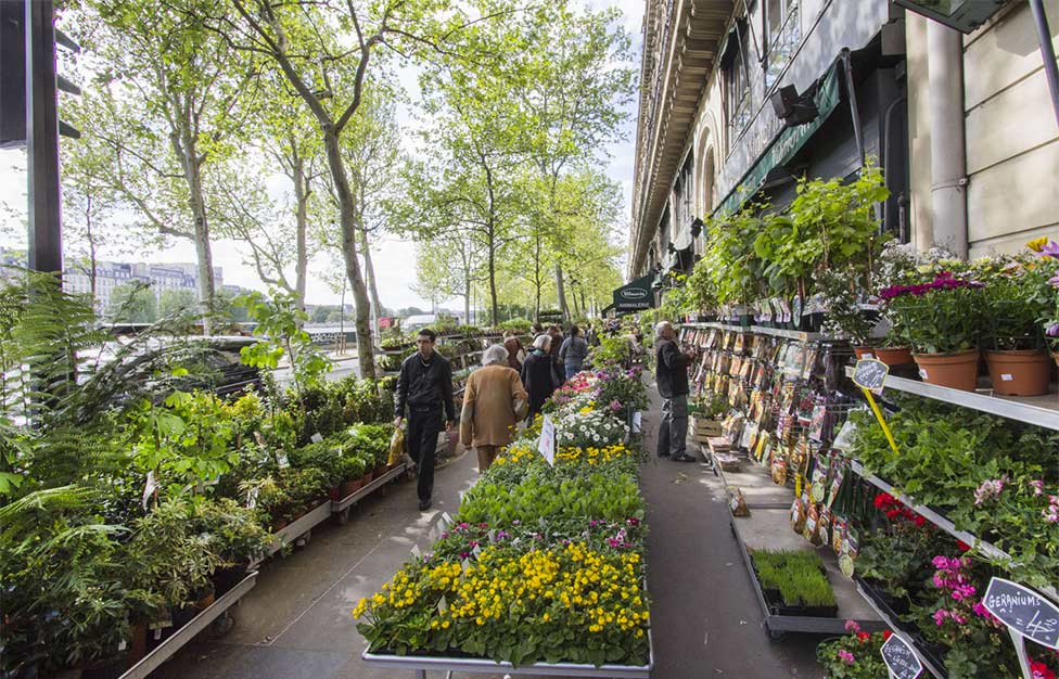 Paris 1er Arrondissement 23