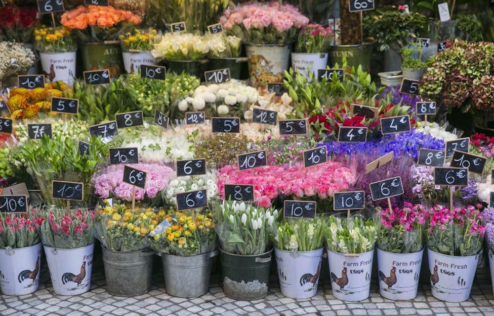 Paris 1er Arrondissement 5